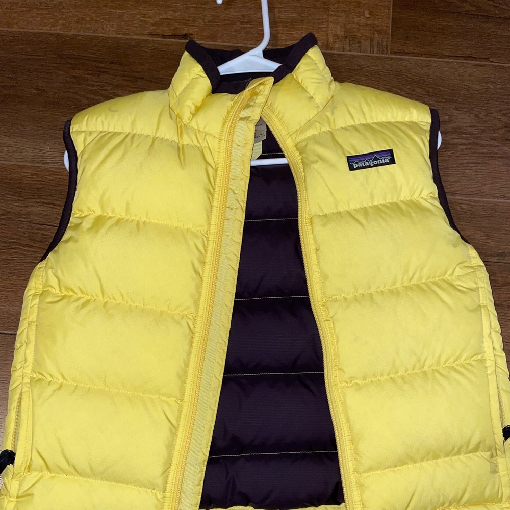 Patagonia Puffer Vest